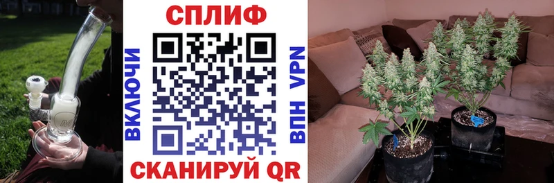 Продажа наркотиков Рязань Кодеин Канабис Alpha-PVP