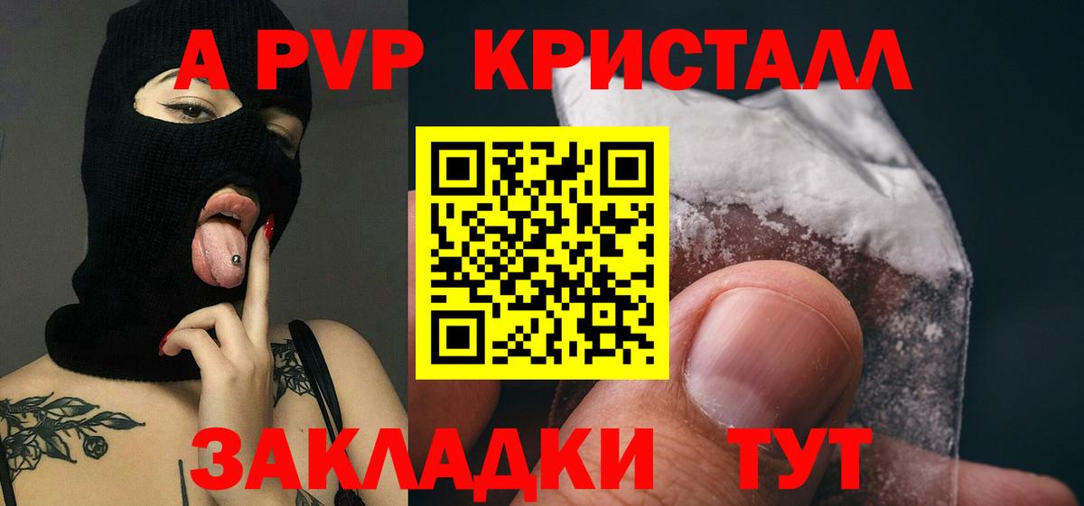 Alfa_PVP СК Рязань