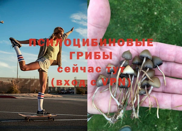 прущая мука Янаул