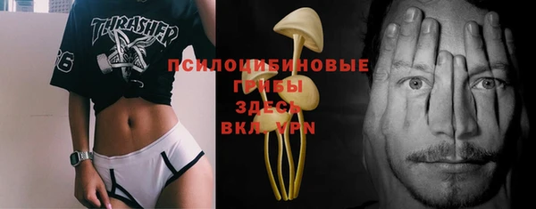 ПСИЛОЦИБИНОВЫЕ ГРИБЫ Кинешма