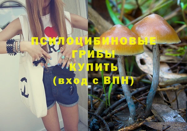 ГАЛЛЮЦИНОГЕННЫЕ ГРИБЫ Киреевск
