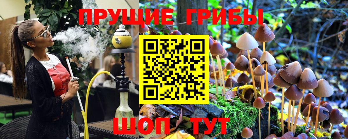 Галлюциногенные грибы Cubensis  Псилоцибиновые грибы MAGIC MUSHROOMS  цена   Рязань 