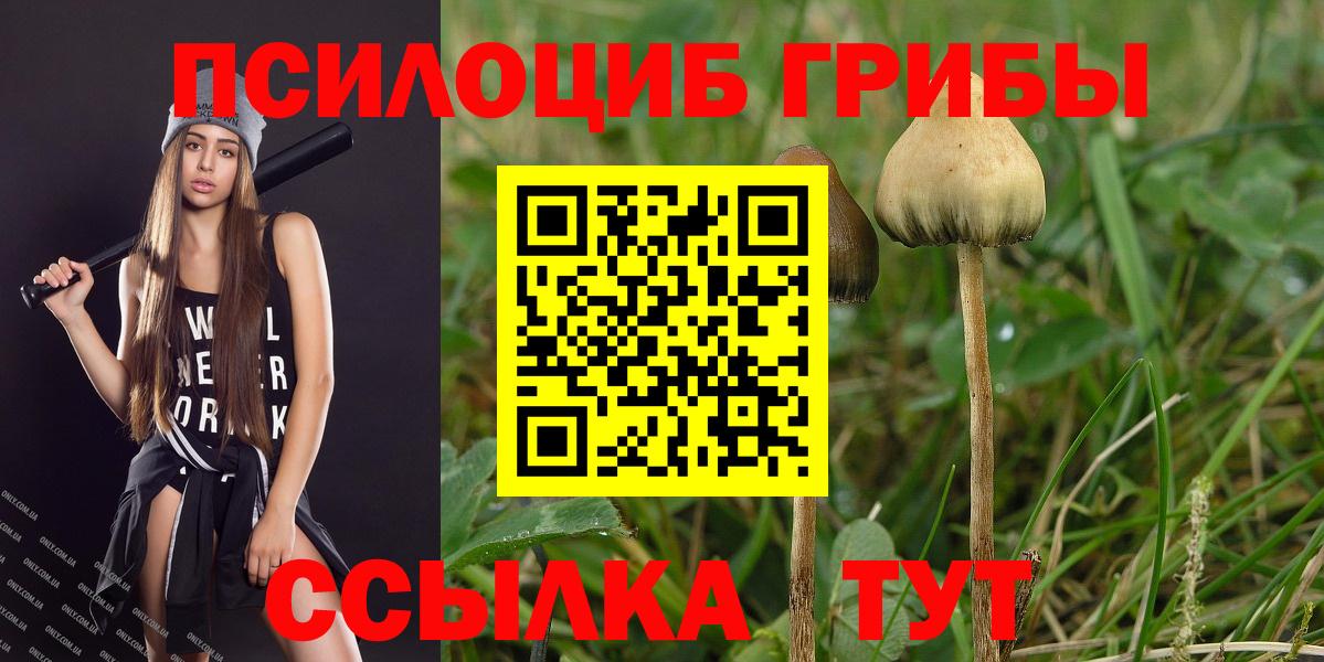 Галлюциногенные грибы прущие грибы Рязань