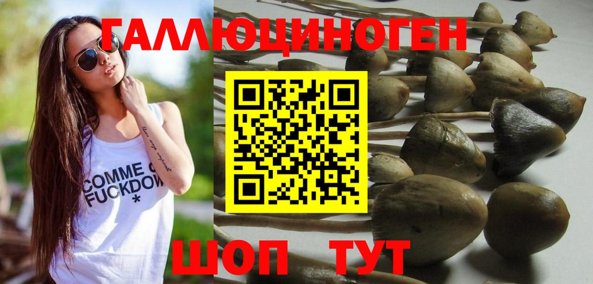 Галлюциногенные грибы Magic Shrooms  Вход с VPN  Рязань 